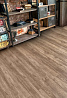 Виниловые покрытия SPC Alpine Floor Grand Sequioia 