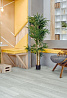 Виниловые покрытия SPC Alpine Floor Grand Sequioia 