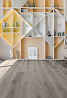 Виниловые покрытия SPC Alpine Floor Grand Sequioia 
