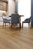 Виниловые покрытия SPC Alpine Floor Grand Sequioia 