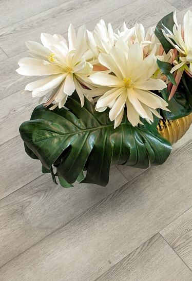 Виниловые покрытия SPC Alpine Floor Grand Sequioia 